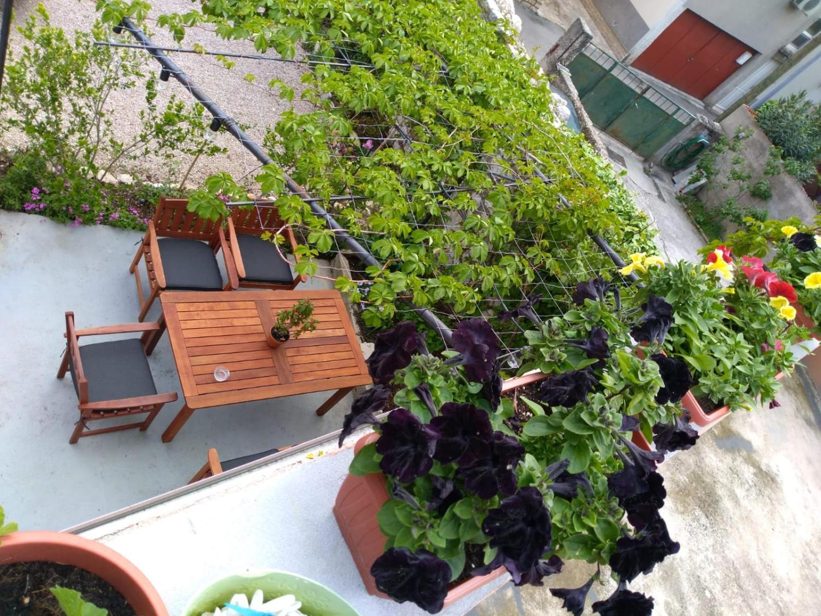 Green Oasis City Center Apartment Šibenik Exteriör bild